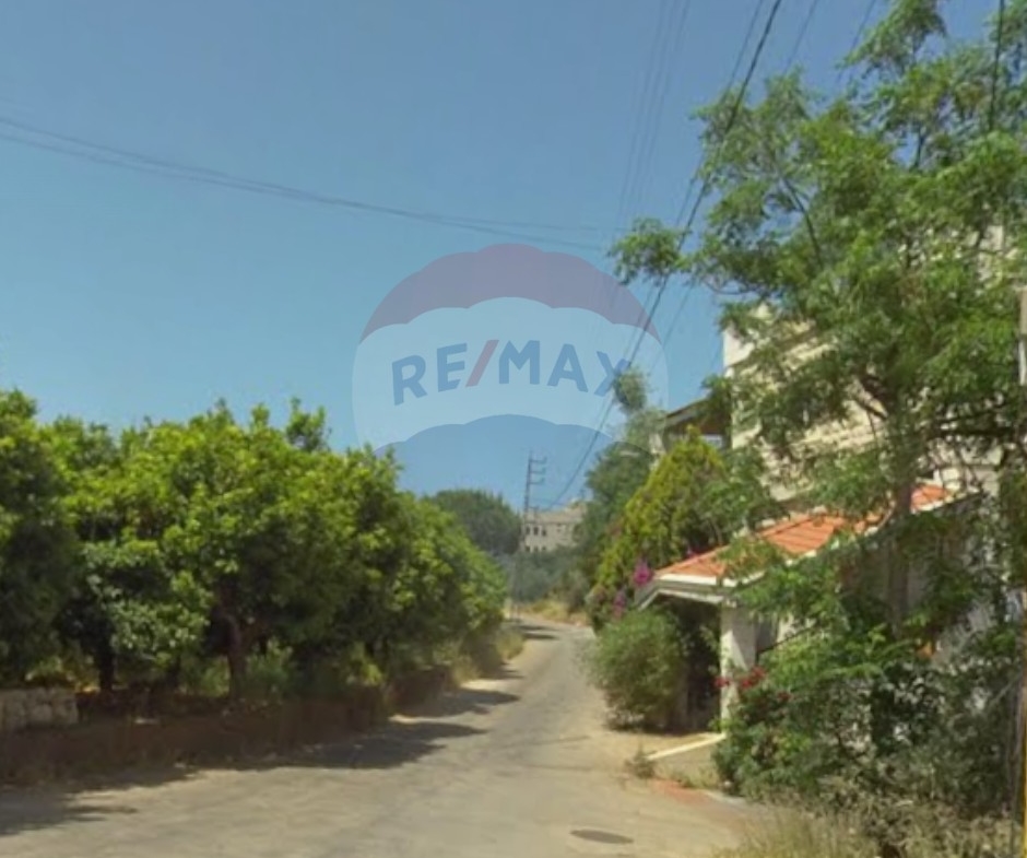 R9-2841 Residential Land for Sale in Nakhleh – 1,250 m² — الصورة 2 من 2