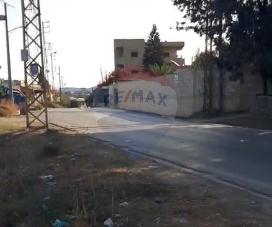 R9-2719 Land for Sale in Akkar El Bieri | 1,241m² | Olive Trees | Residential & Agricultural — Photo 2 of 4