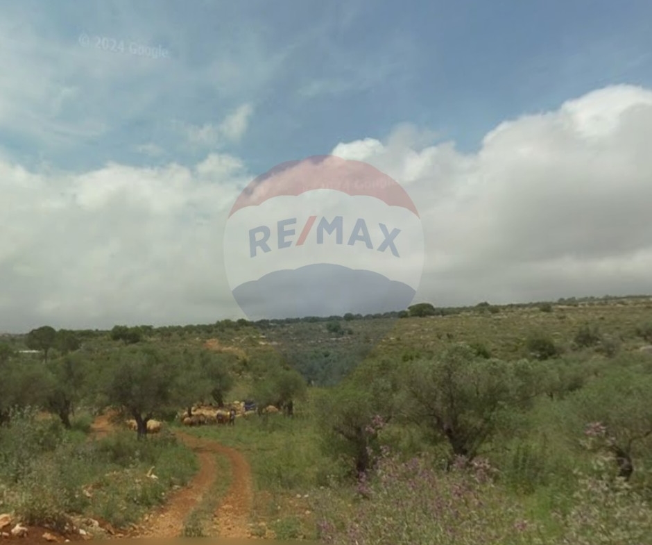 R9-2717 Residential Land for Sale in Bterram – Koura — الصورة 3 من 4