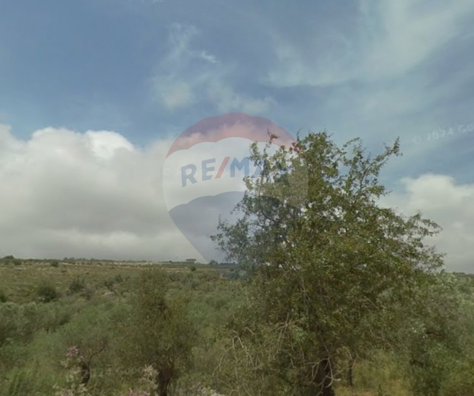 R9-2717 Residential Land for Sale in Bterram – Koura — الصورة 4 من 4