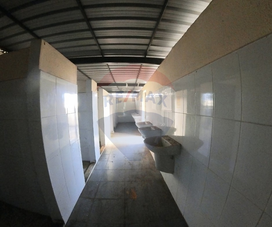 R9-2828 Old Building for Sale Near Tripoli Castle – 840 m² — الصورة 4 من 13