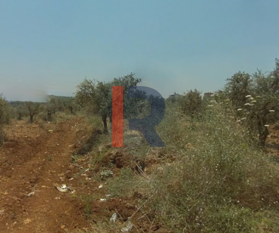 R9-2760 Land for Sale in Abou Samra – Tripoli | 2339m² — الصورة 3 من 3