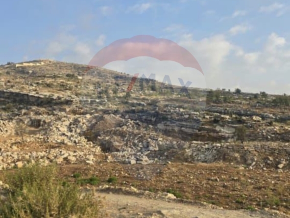الصورة 1 من 3