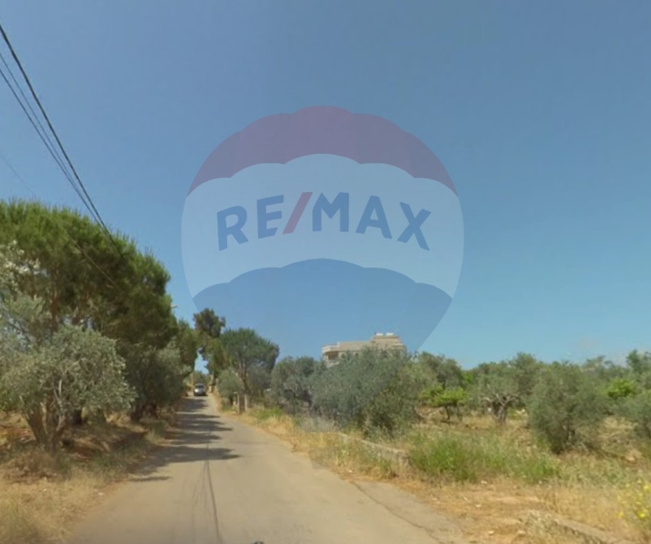 R9-2874 Residential Land for Sale 1207 m – Nakhleh with Full Infrastructure — الصورة 2 من 2