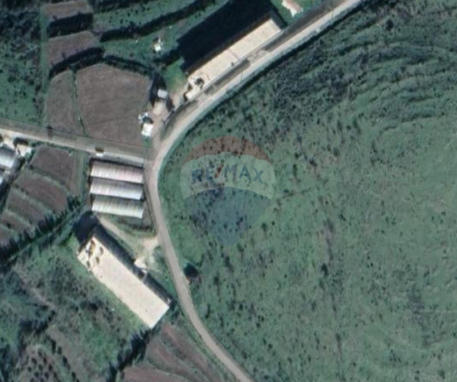 R9-2994 Land for Sale in Rumah Akkar – 62,142 m² with Road & Electricity — الصورة 2 من 2