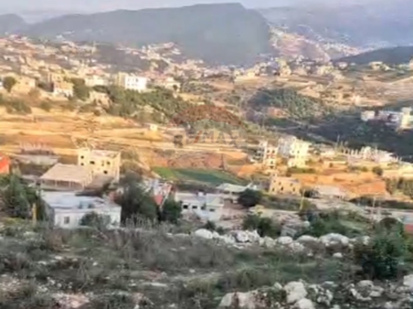 الصورة 1 من 3