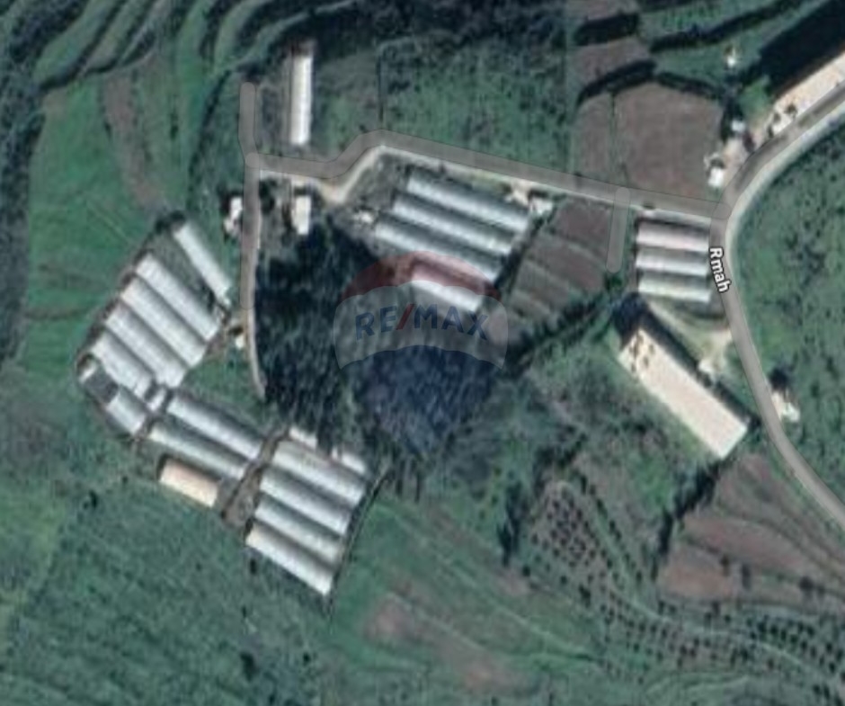 R9-2993 Land for Sale in Rumah Akkar – 37,672 m² with Road & Utilities — الصورة 2 من 2
