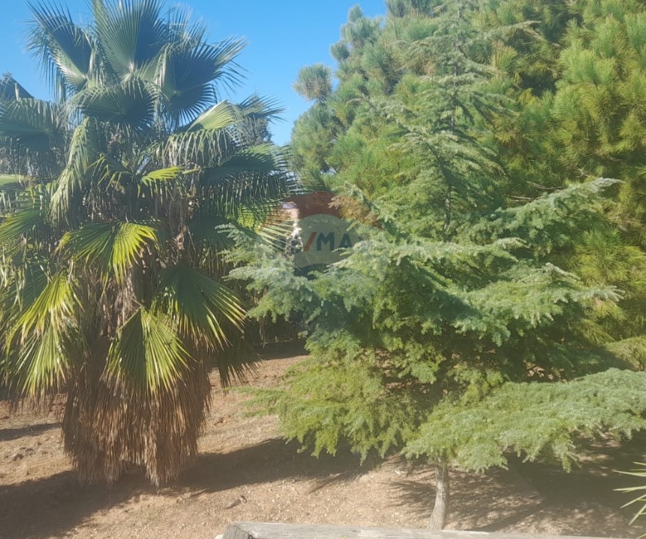 R9-2950 Land with House for Sale in Alma Zgharta – 4,700 m² Residential — الصورة 3 من 7