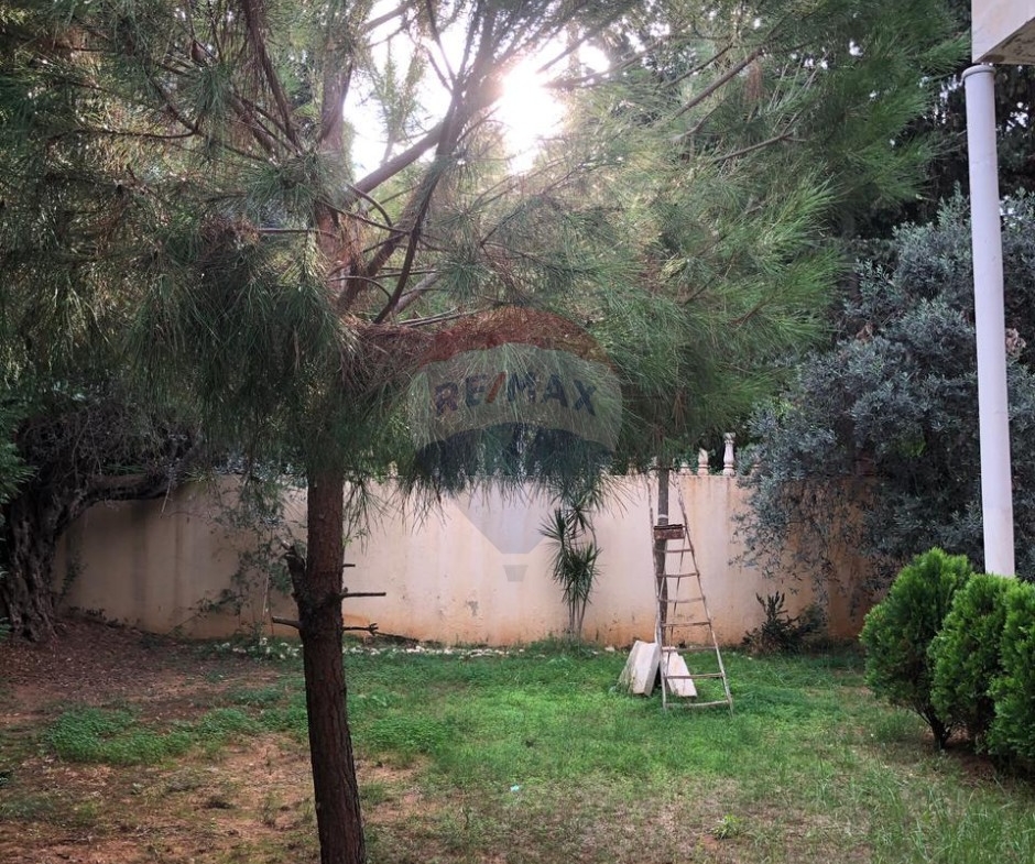 R9-3011 Villa for Sale in Nakhleh Koura – 450 m² Built, 860 m² Land, 5 Floors — الصورة 3 من 6