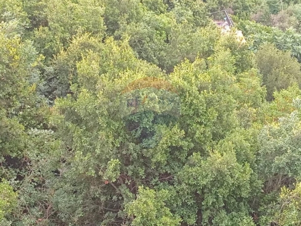 R9-2943 Land for Sale in Keserwan Jbeil District – 770 m² with Road, Electricity & Water — Photo 4 of 5