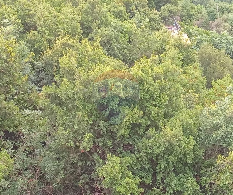 R9-2943 Land for Sale in Keserwan Jbeil District – 770 m² with Road, Electricity & Water — Photo 4 of 5