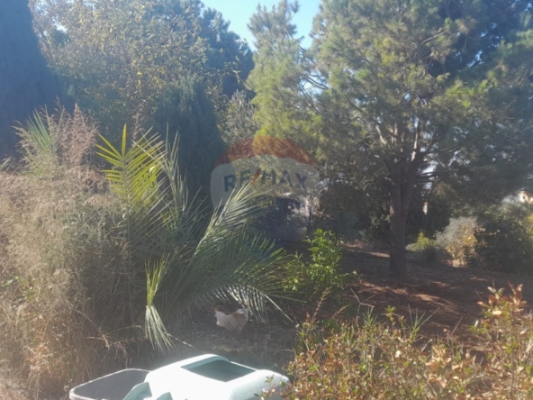 R9-2950 Land with House for Sale in Alma Zgharta – 4,700 m² Residential — الصورة 4 من 7