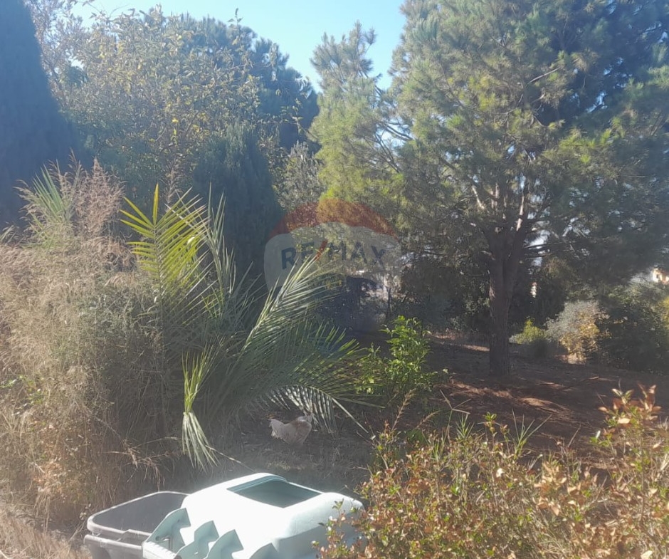 R9-2950 Land with House for Sale in Alma Zgharta – 4,700 m² Residential — الصورة 4 من 7