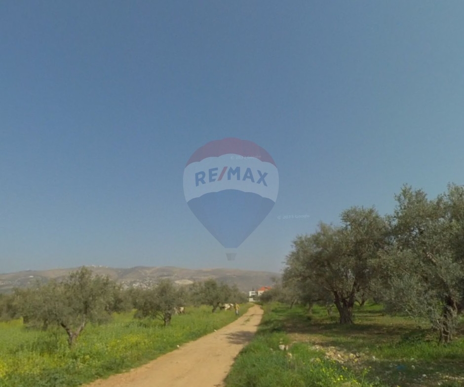 R9-2959 Land for Sale in Rachein Zgharta – 9,070 m² Residential 20/40 with Road, Electricity & Water — الصورة 3 من 4