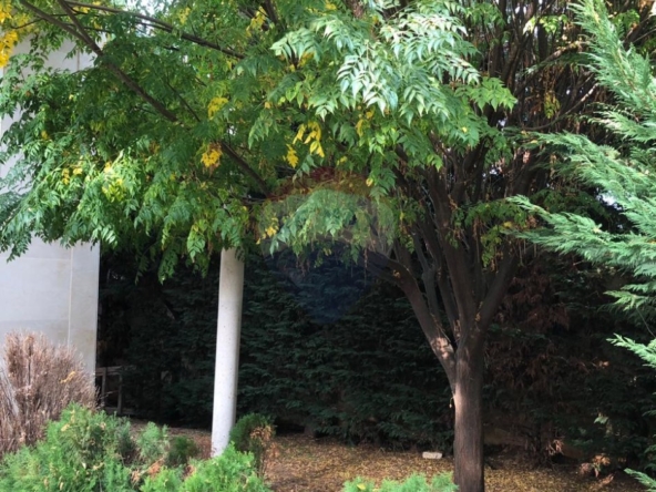R9-3011 Villa for Sale in Nakhleh Koura – 450 m² Built, 860 m² Land, 5 Floors — الصورة 4 من 6