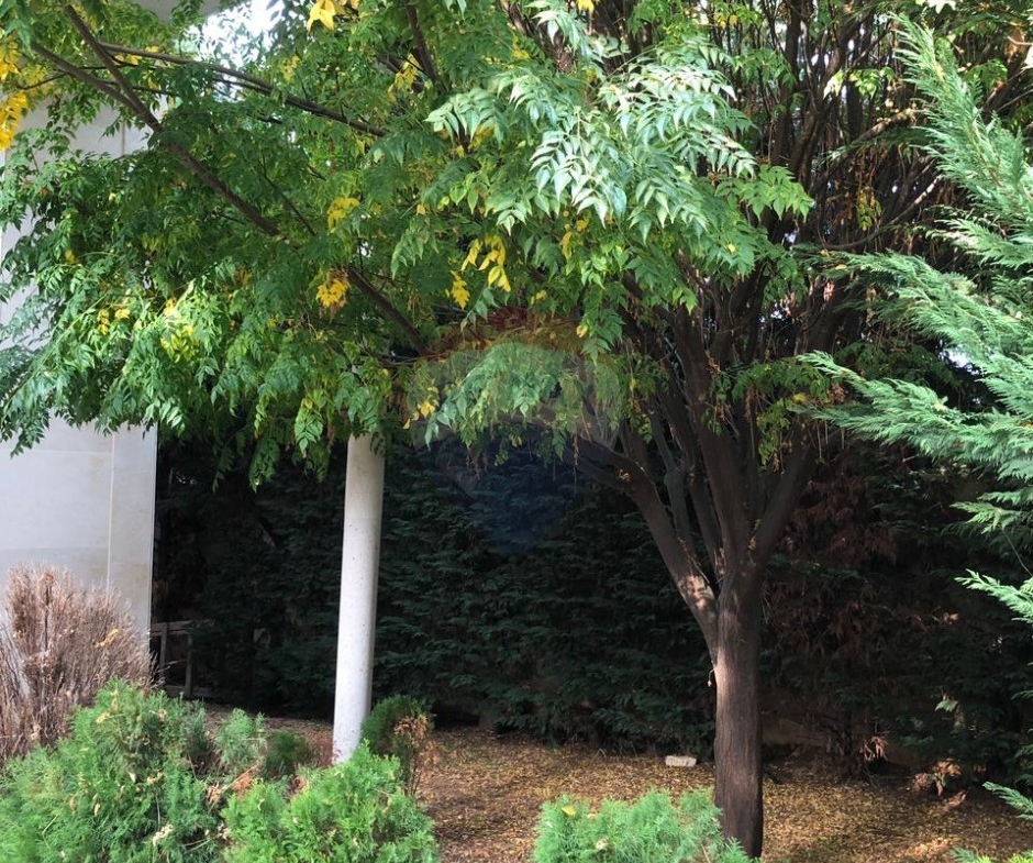 R9-3011 Villa for Sale in Nakhleh Koura – 450 m² Built, 860 m² Land, 5 Floors — الصورة 4 من 6