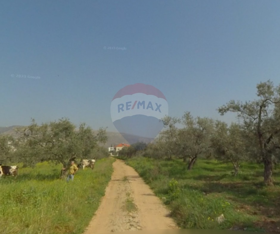 R9-2959 Land for Sale in Rachein Zgharta – 9,070 m² Residential 20/40 with Road, Electricity & Water — الصورة 4 من 4