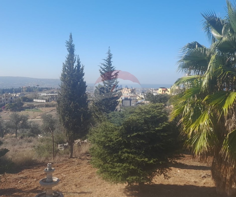 R9-2950 Land with House for Sale in Alma Zgharta – 4,700 m² Residential — الصورة 6 من 7