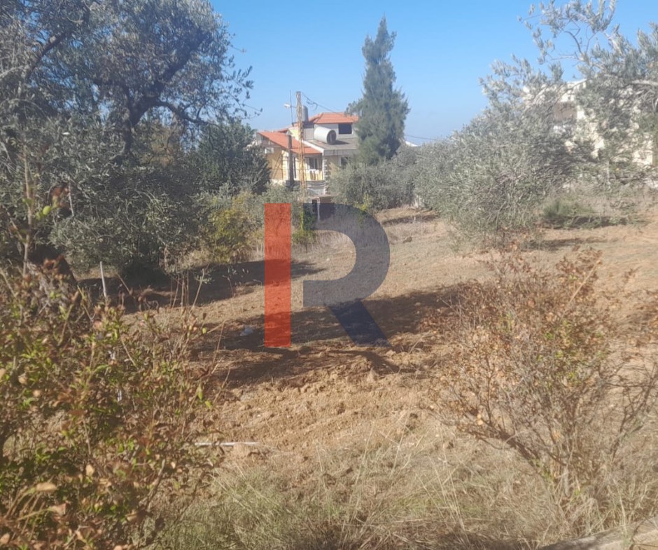 R9-2950 Land with House for Sale in Alma Zgharta – 4,700 m² Residential — الصورة 7 من 7