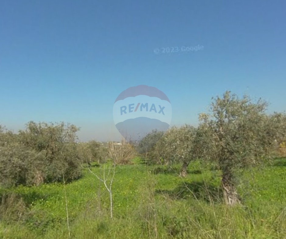R9-3128 Land for Sale in Jdaidet El Qaitea – Akkar أرض للبيع في جديدة القيطع عكار — Photo 3 of 4