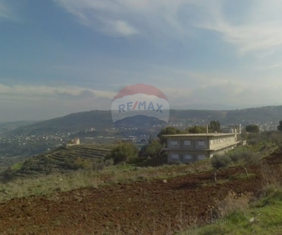 R9-3077 Land for Sale in Machha – Akkar أرض للبيع في مشحة عكار — Photo 4 of 5