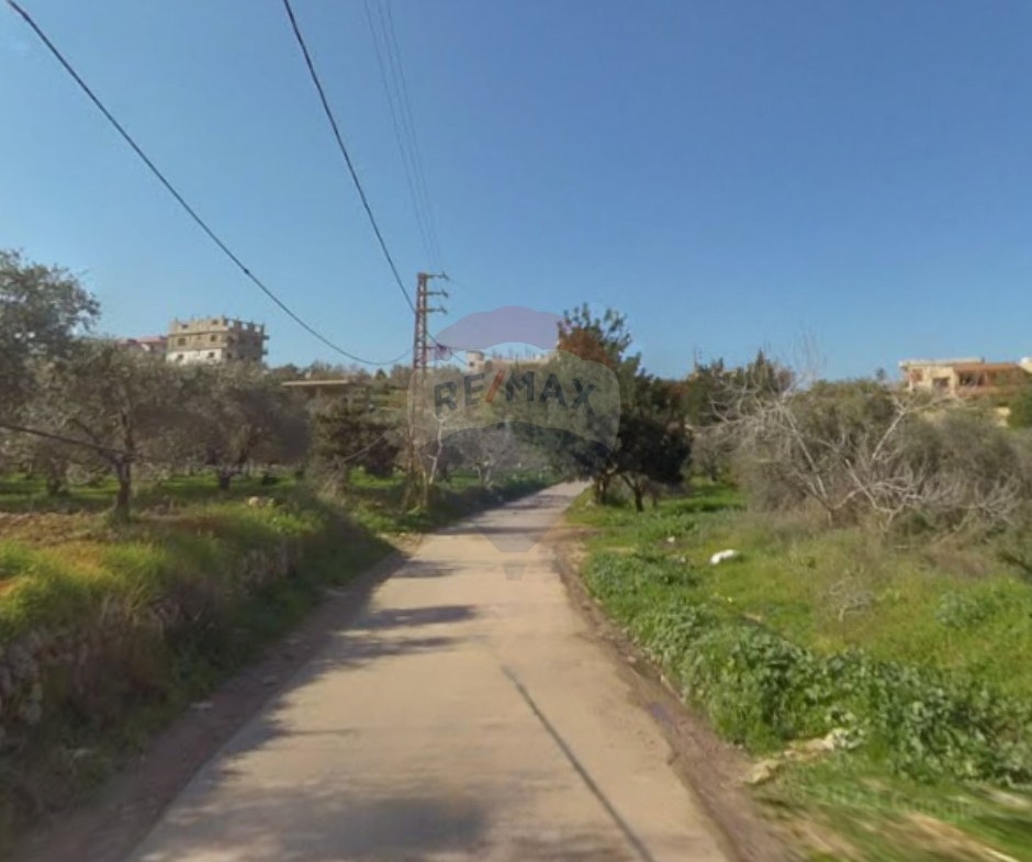 R9-3128 Land for Sale in Jdaidet El Qaitea – Akkar أرض للبيع في جديدة القيطع عكار — Photo 4 of 4