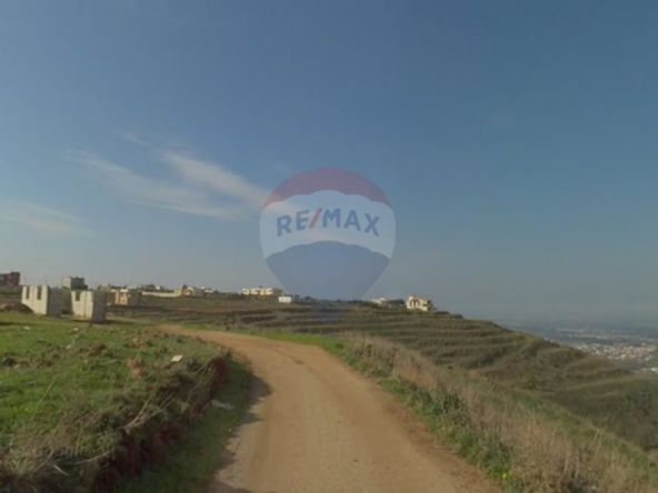 R9-3077 Land for Sale in Machha – Akkar أرض للبيع في مشحة عكار — Photo 5 of 5