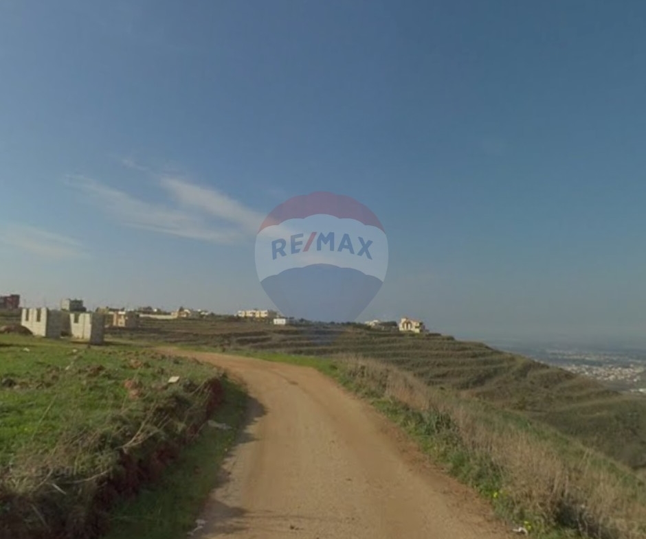 R9-3077 Land for Sale in Machha – Akkar أرض للبيع في مشحة عكار — Photo 5 of 5