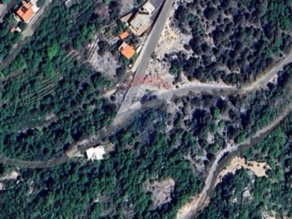 الصورة 1 من 4