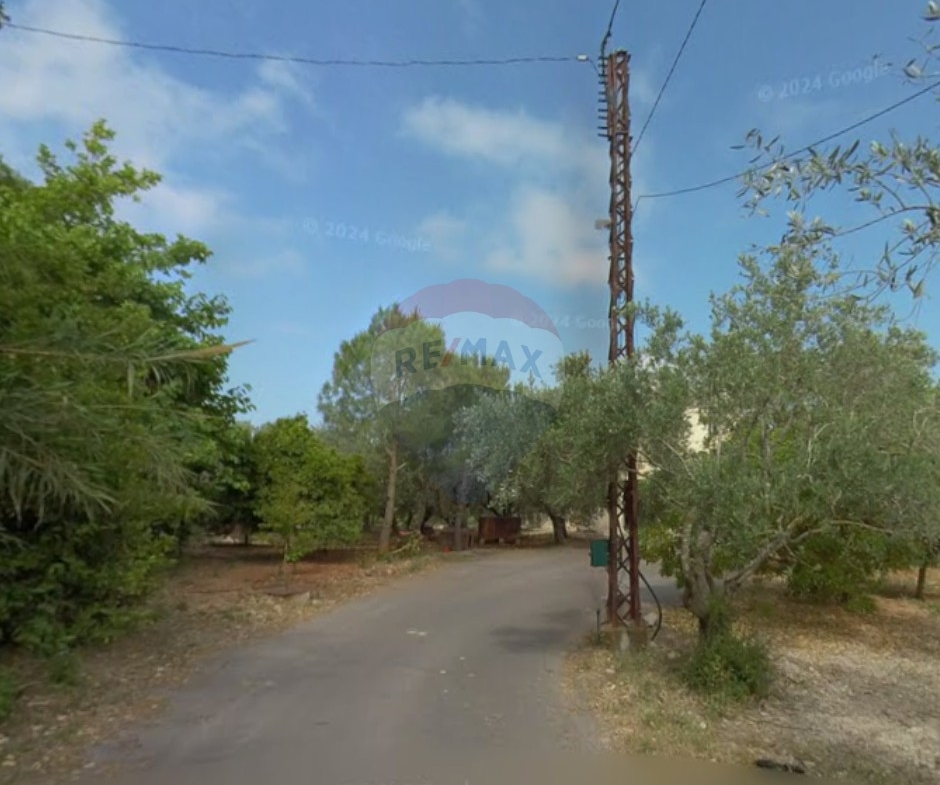 R9-3221 Land for Sale in Qalhat – Koura أرض للبيع في قلحات الكورة (385 m², Planted with Trees) — Photo 2 of 4