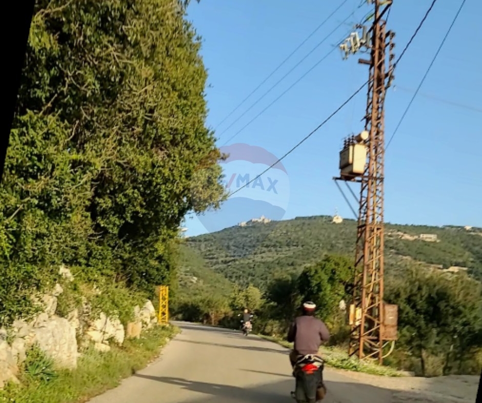R9-3172 Land for Sale in Sourat – Batroun أرض للبيع في صورات البترون (1360 m², Zoning 25/50, Olive Trees) — Photo 2 of 2