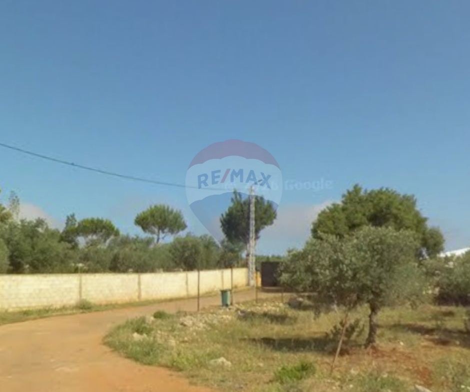 R9-3205 Land for Sale in Batroumine – Koura أرض للبيع في بترومين الكورة (1,539 m², Residential Zoning 20/40) — Photo 3 of 3