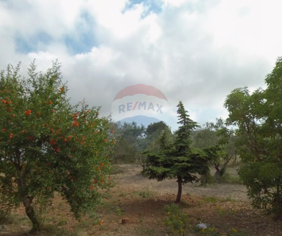 R9-3221 Land for Sale in Qalhat – Koura أرض للبيع في قلحات الكورة (385 m², Planted with Trees) — Photo 3 of 4