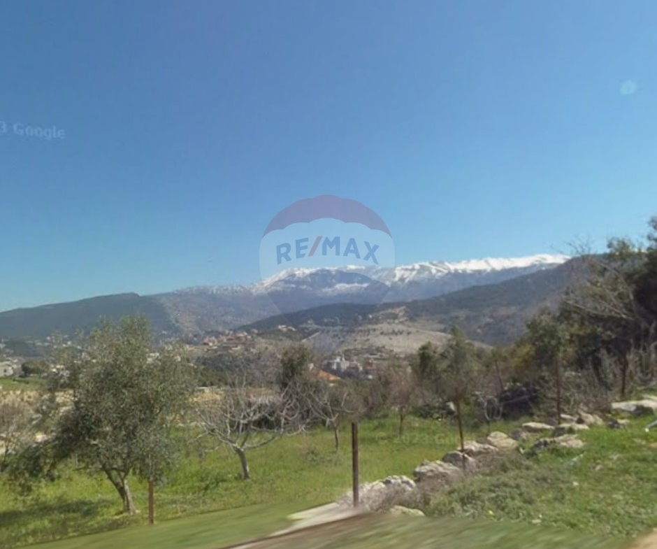 R9-3170  أرض للبيع في بشطايل الضنية — الصورة 3 من 3