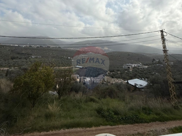R9-3141 Apartment for Sale in Kfarhata Main Road – Zgharta شقة للبيع في كفرحاتا زغرتا — Photo 4 of 14