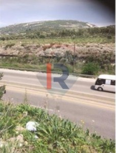 الصورة 1 من 2