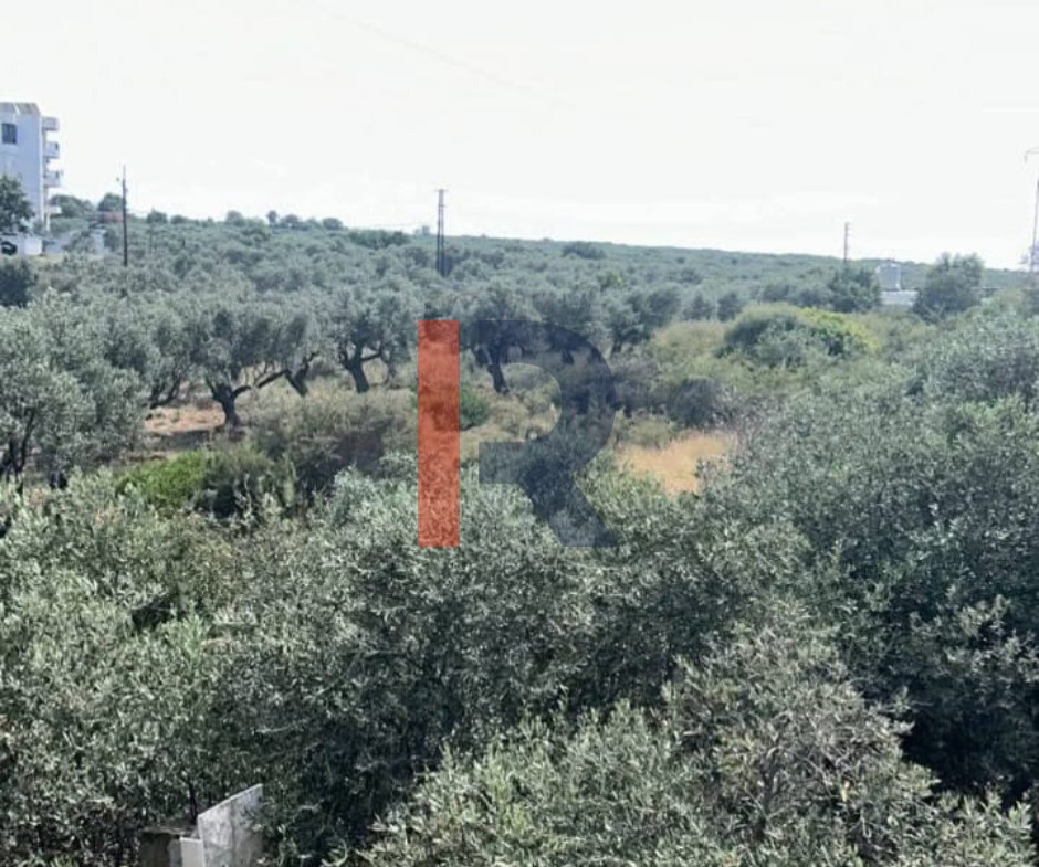 R9-3261 أرض مع بناء للبيع في حريشة البترون — الصورة 2 من 8