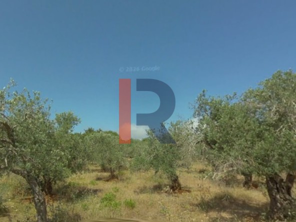 الصورة 1 من 4