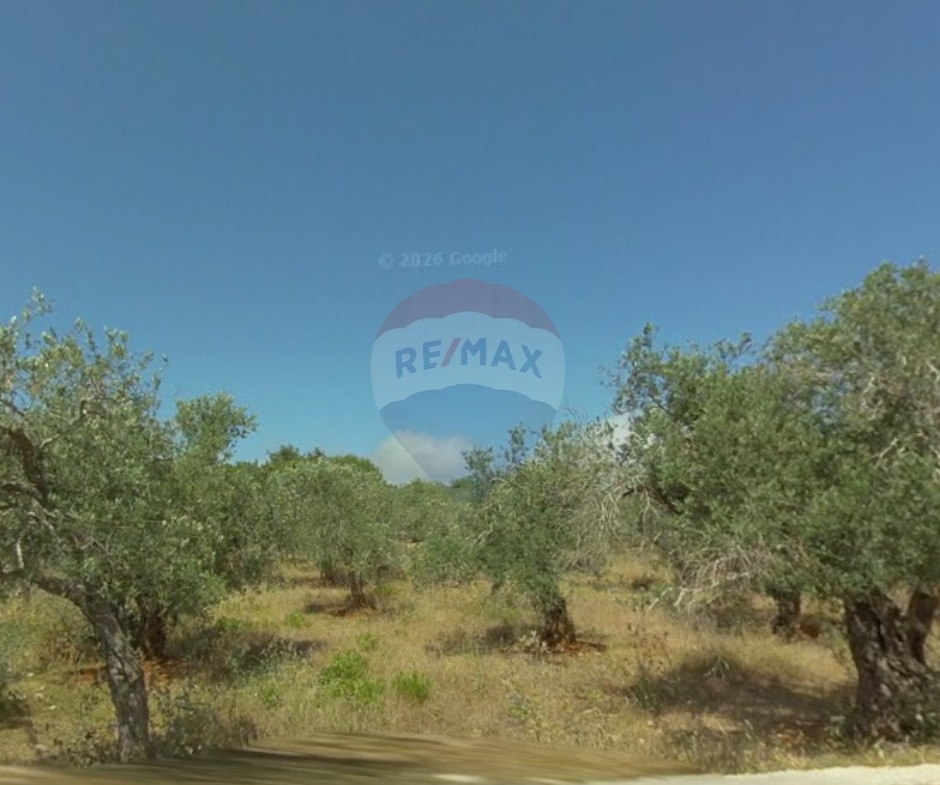 R9-3272 Land for Sale in Batroumine Koura – 2,258 m² m²,Fully Serviced أرض للبيع في بترومين الكورة – 2,258 متر مربع،مجهزة بالكامل — Photo 2 of 3