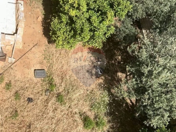 R9-3261 أرض مع بناء للبيع في حريشة البترون — الصورة 3 من 8