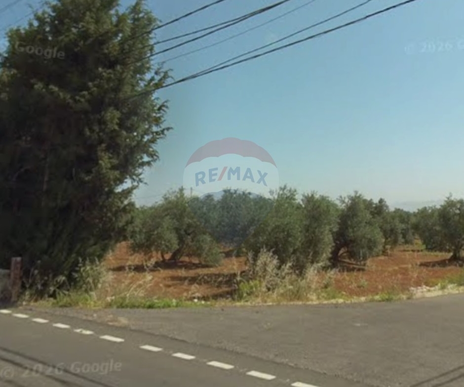 R9-3272 Land for Sale in Batroumine Koura – 2,258 m² m²,Fully Serviced أرض للبيع في بترومين الكورة – 2,258 متر مربع،مجهزة بالكامل — Photo 3 of 3