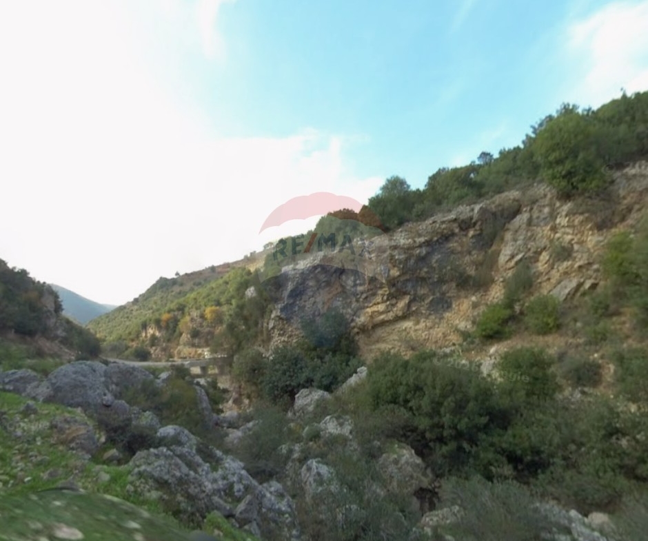 R9-3300 Land for Sale in Majdal Akkar – 136,000 m²أرض للبيع في مجدل عكار – 136,000 متر مربع — Photo 2 of 3