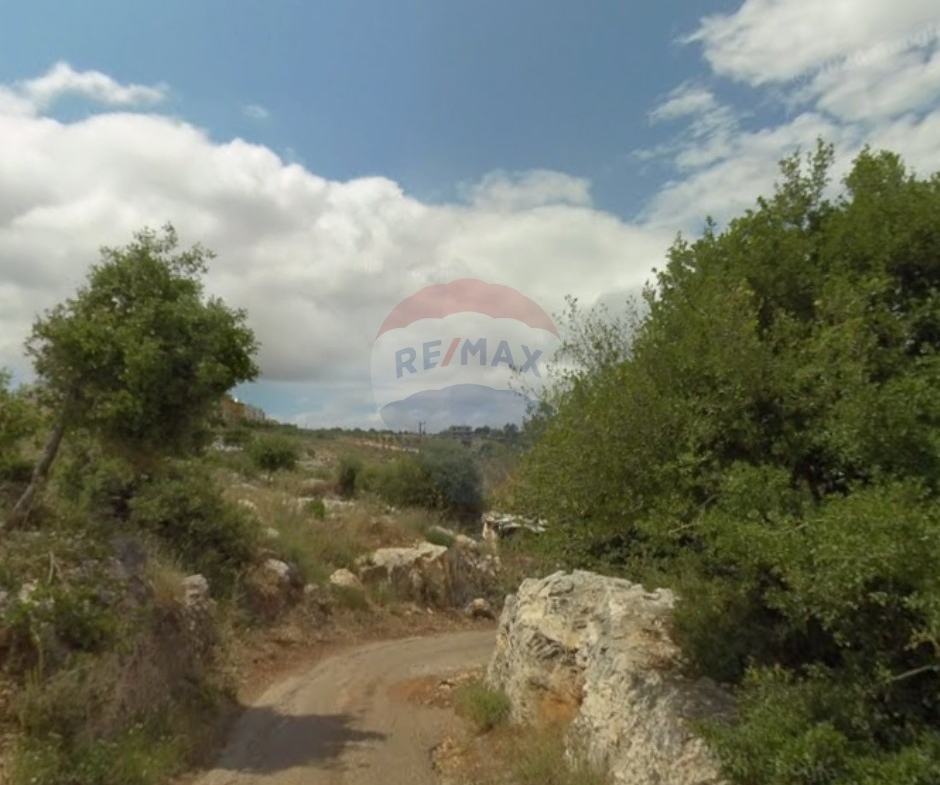 R9-3274 Land for Sale in Btouratij Koura – 3,059 m أرض للبيع في بتوراتيج الكورة – 3,059 متر مربع — Photo 3 of 3