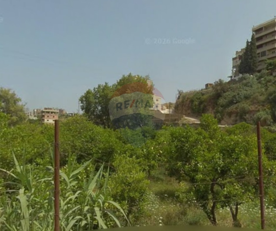 R9-3278 Land for Sale in Shalfeh Tripoli – 12,000 m², Agricultural & Tourist Zoning أرض للبيع في شلفه طرابلس – 12,000 متر مربع، زراعي وسياحي — Photo 3 of 3