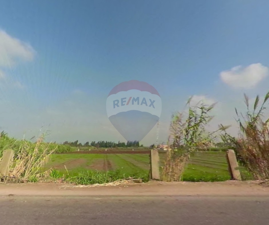 R9-3249 7,000 m² agricultural land for sale in Akkar Kolayaat Airport أرض للبيع في عكار مطار القليعات – 7,000 متر مربع زراعية — Photo 3 of 3