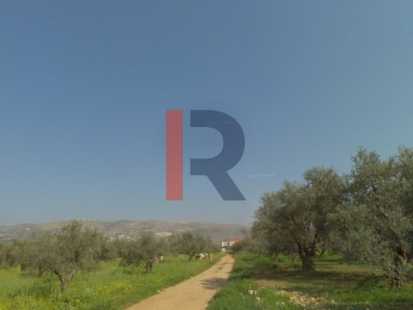 R9-3257 أرض للبيع في راشعين زغرتا – 2,929 متر مربع، سكني — الصورة 4 من 5