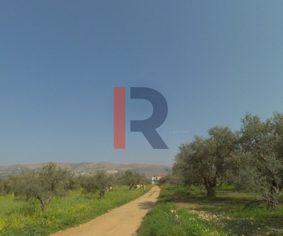 R9-3257 أرض للبيع في راشعين زغرتا – 2,929 متر مربع، سكني — الصورة 4 من 5