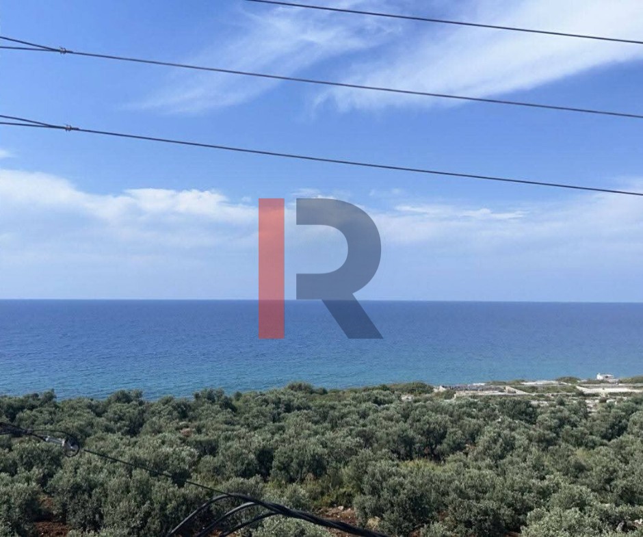 R9-3261 أرض مع بناء للبيع في حريشة البترون — الصورة 6 من 8