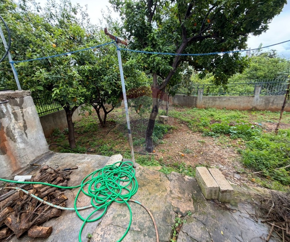 R9-3326 Land with Building for Sale in Barsa Koura – 500 m² Landأرض مع بناء للبيع في برسا الكورة – 500 متر مربع أرض — Photo 11 of 17
