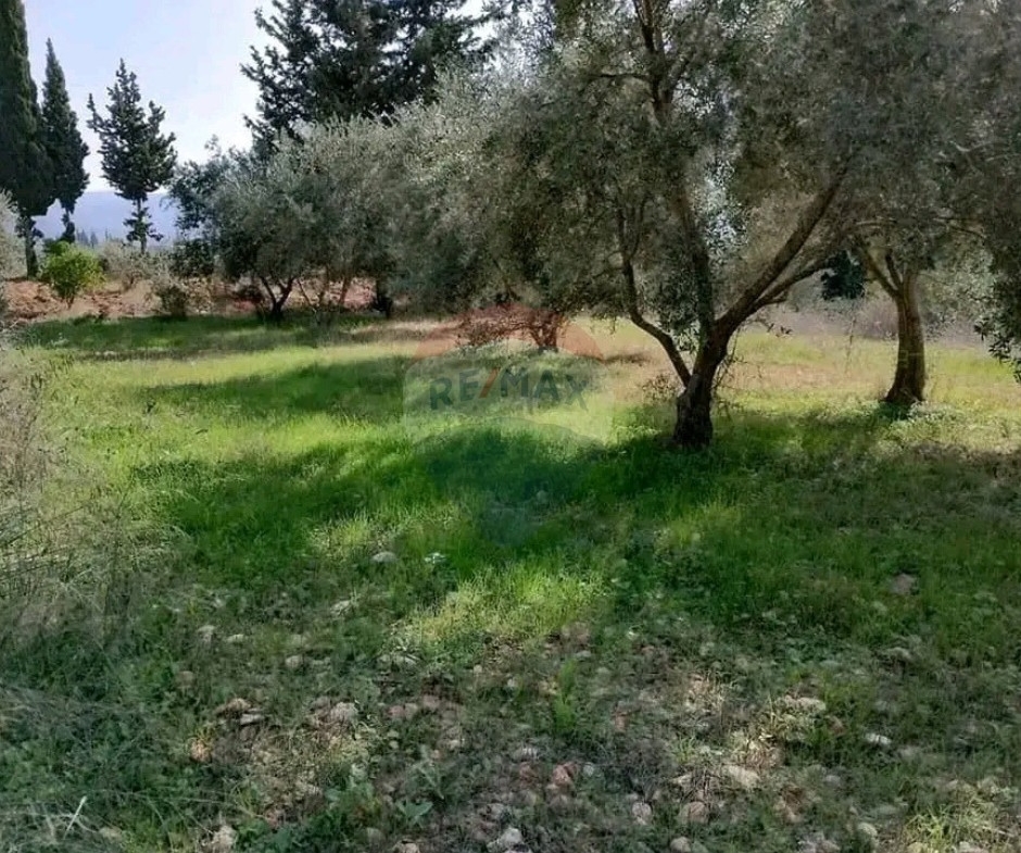 R9-3318 Land for Sale in Azki Danniyeh – 1338 m²أرض للبيع في عزقي الضنية – 1338 متر مربع — Photo 2 of 3